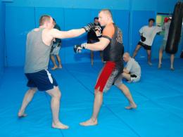 MMA: Prawie wszystkie chwyty dozwolone