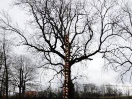 W Sławniowicach tworzenie gigantycznych palm to już tradycja.