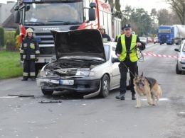 Sprawca wypadku uciekł do lasu