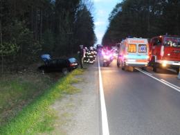 Zderzenie z sarną