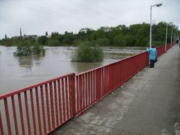 Krapkowice pod wodą