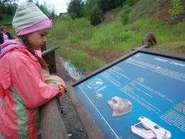 Dinopark w Krasiejowie otwarty