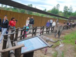 Dinopark w Krasiejowie otwarty