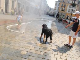 Kurtyny wodne sposobem na upały