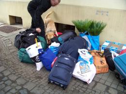 5 kilogramów marihuany w torbie z Holandii