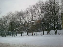 Zima w obiektywie internautów