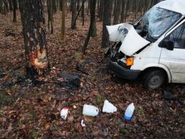 Bus uderzył w drzewo, dwie osoby ranne