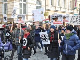Opolanie przeciwko przemocy wobec zwierząt