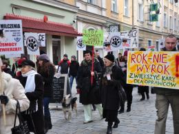 Opolanie przeciwko przemocy wobec zwierząt