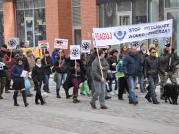 Opolanie przeciwko przemocy wobec zwierząt