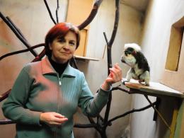 Anna Włodarczyk i wychowana przez nią tamaryna "Lilka". (Fot. Dżacheć)