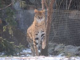 Pani Ania - matka zastępcza opolskiego ZOO