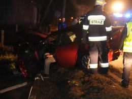 Alfa romeo rozbiła się na płocie
