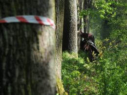 19-latek zginął jadąc na maturę