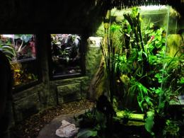 Nowy pawilon z płazami w opolskim zoo