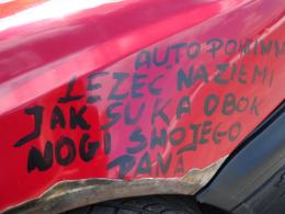 Volkswageny opanowały autodrom w Polskiej Nowej Wsi
