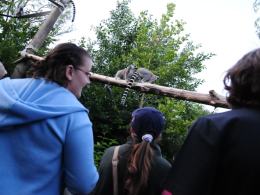 Opolski ogród zoologiczny nocą