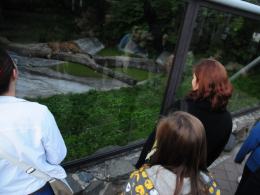 Opolski ogród zoologiczny nocą