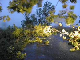 Nawałnica nad Opolszczyzną, grad wielkości piłek tenisowych