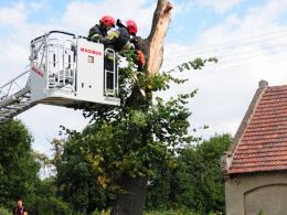 Strażacy wycięli drzewo, w które uderzył kierowca