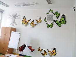 Sala Centrum Nauk Przyrodniczych w PG nr 6.