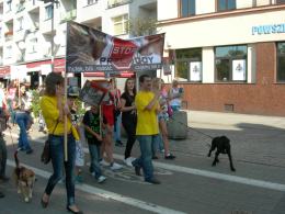 Marsz miłośników zwierząt