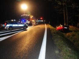 Jeleń przyczyną dachowania w lesie pod Dąbrową