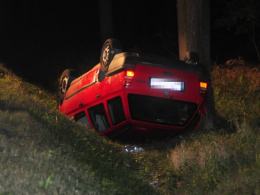 Jeleń przyczyną dachowania w lesie pod Dąbrową