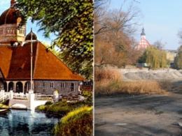 Staw przy ul. Barlickiego i okolica.