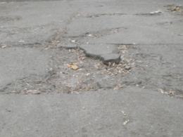 Zniszczony chodnik na 1 Maja. MZD obiecuje pomoc