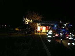 18-letniego kierowcę golfa, strażacy musieli zdjąć z drzewa przy pomocy drabiny.