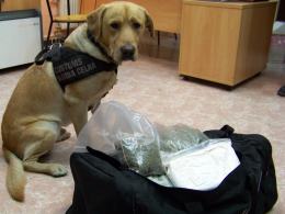 Aż 8 kilogramów amfetaminy przechwycili opolscy celnicy