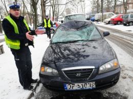 Stado jeleni biega po Zaodrzu