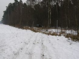 Dwie osoby ranne po zderzeniu na autostradzie