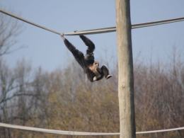 Do opolskiego ZOO przyszła wiosna