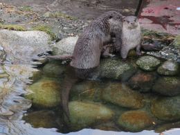 Do opolskiego ZOO przyszła wiosna