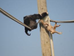 Do opolskiego ZOO przyszła wiosna