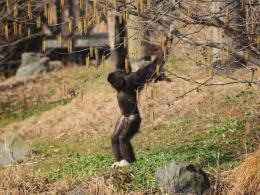 Do opolskiego ZOO przyszła wiosna