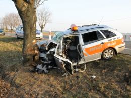 24-latek wyszedł cało ze zderzenia z drzewem