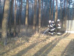 Ktoś podpalił las w Ozimku