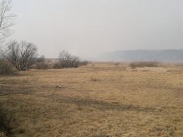 Ogromny pożar lasów między Turawą a Ozimkiem