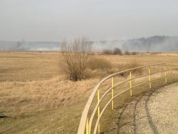 Ogromny pożar lasów między Turawą a Ozimkiem