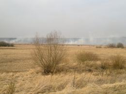 Ogromny pożar lasów między Turawą a Ozimkiem