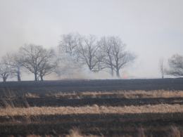 Ogromny pożar lasów między Turawą a Ozimkiem