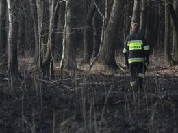 Ogromny pożar lasów między Turawą a Ozimkiem