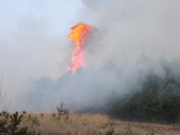 Ogromny pożar lasów między Turawą a Ozimkiem