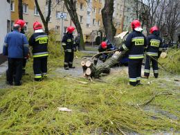 Powalone drzewo zmiażdżyło samochód