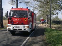 Wiatr powalił drzewo na jadący samochód