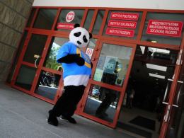Debiut zaliczyła maskotka UO - panda.