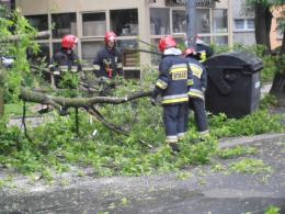 Złamany konar spadł na samochód